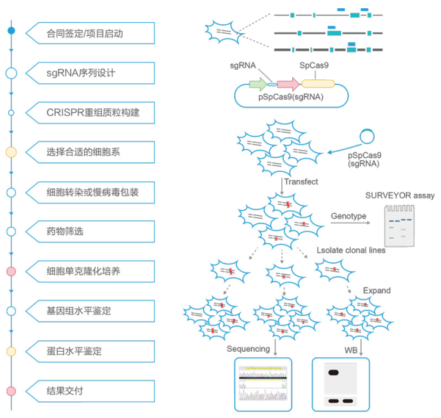 图片21.png