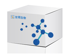 胃蛋白酶A-4 (Pepsin A-4, Human Recombinant）