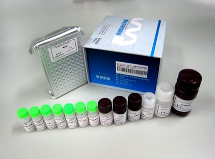 大鼠 E选择素（E-Sel）elisa酶联免疫试剂盒