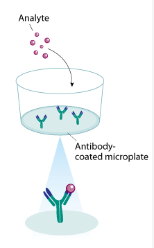 植物维生素C(VC)ELISA试剂盒 