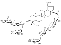 3-O-D-葡萄糖( 1→4)-[ L-鼠李糖(1→2)]-L-阿拉伯糖-23-羟基羽扇豆20