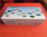 大鼠基质金属蛋白酶-8 （MMP-8）elisa酶联免疫试剂盒