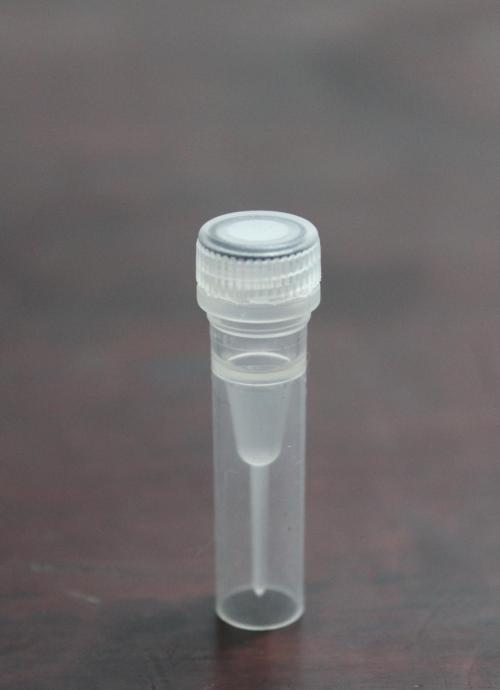 重组人骨形态发生蛋白-7