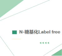 N-糖基化 Label Free