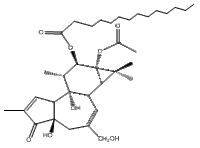 伏波酯-12-十四烷酸酯-13-乙酸酯