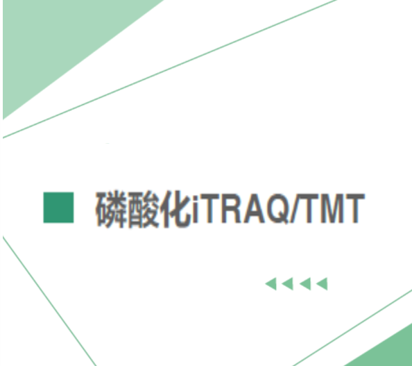 磷酸化iTRAQ/TMT