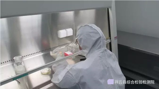 云南省祥云县综合检验检测院终端开标,项目顺利落地