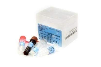 鼠 SP试剂盒丨一抗为鼠来源的免疫组化试剂盒