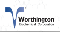Tyrosine Decarboxylase, Apoenzyme