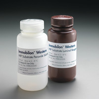 Immobilon Western HRP 底物显影液，2 x 250 mL