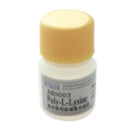 蛋白电泳上样缓冲液(5倍稀释)