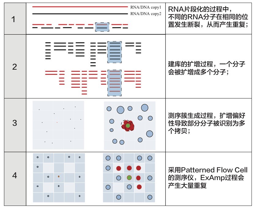如何从根本上提高转录组测序的准确性