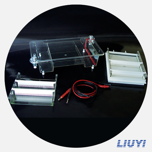 琼脂糖水平电泳仪(中)