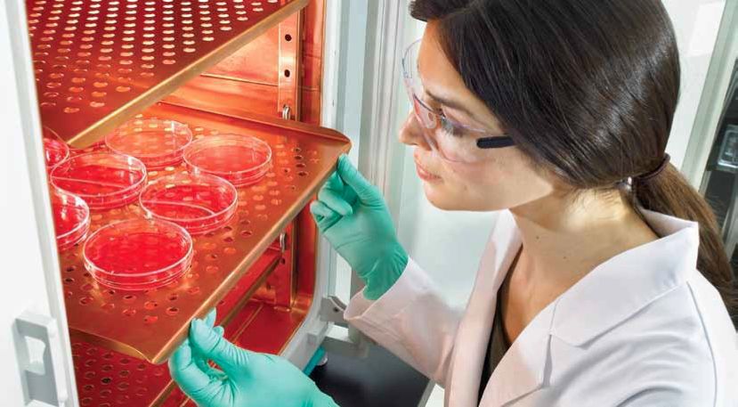 送你撩妹新套路：绿色玫瑰表白法