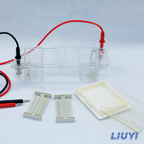 琼脂糖水平电泳仪（注）