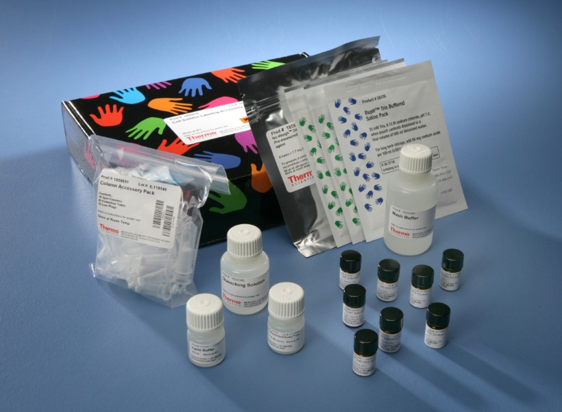 人组织因子途径抑制物（TFPI）elisa酶联免疫试剂盒
