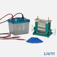 双垂直电泳仪（注塑）