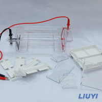 琼脂糖水平电泳仪(注)