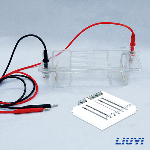 琼脂糖水平电泳仪(注)