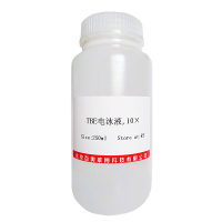 寡聚核苷酸Oligo(dT)15