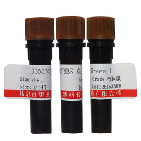 EcoO109I限制性内切酶