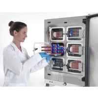 Thermo Scientific Heracell VIOS 160i全新蜂巢式CO2培養箱 