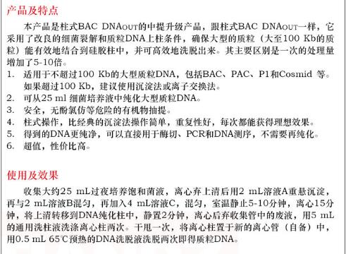 柱式 BAC DNAout 50 次规格