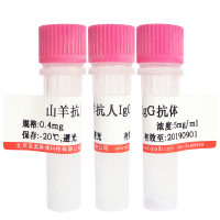 辣根酶标记盐酸克伦特罗