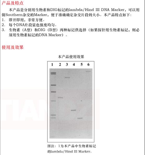 产品细节图片1