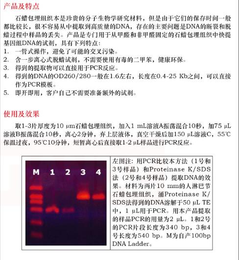 石蜡包埋组织 DNAout30 次品牌