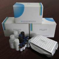 小鼠瘦素（Leptin）elisa酶联免疫试剂盒