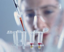 胃动素受体抗体0.1ml/100μg 0.2ml/200μg