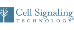Cell Signaling Technology 特约代理