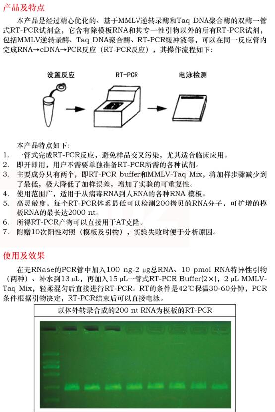 双酶一管式 RT-PCR 试剂盒 (MMLV-Taq)50 