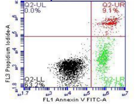 小优博士-流式直播课堂:[第四十三讲]正版FLOWJO V10如何做凋亡、周期、增殖的数据分析？
