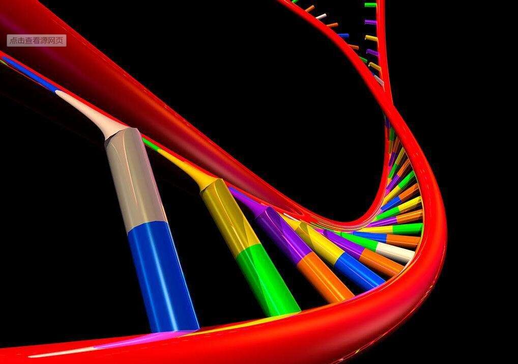 微量单链 DNA 定量试剂盒1mL说明书