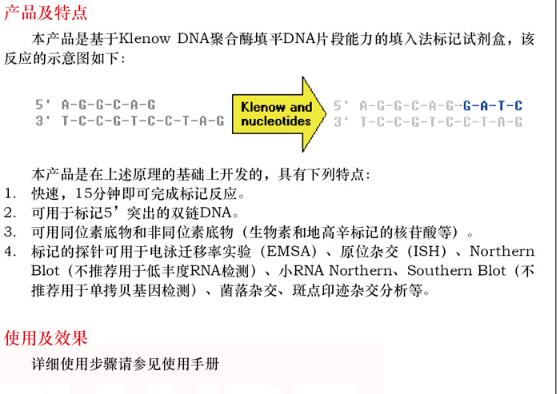 填入法 DNA 末端标记试剂盒 A5次规格