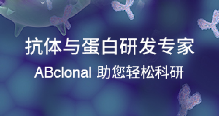 抗体与蛋白研发专家 助您轻松科研