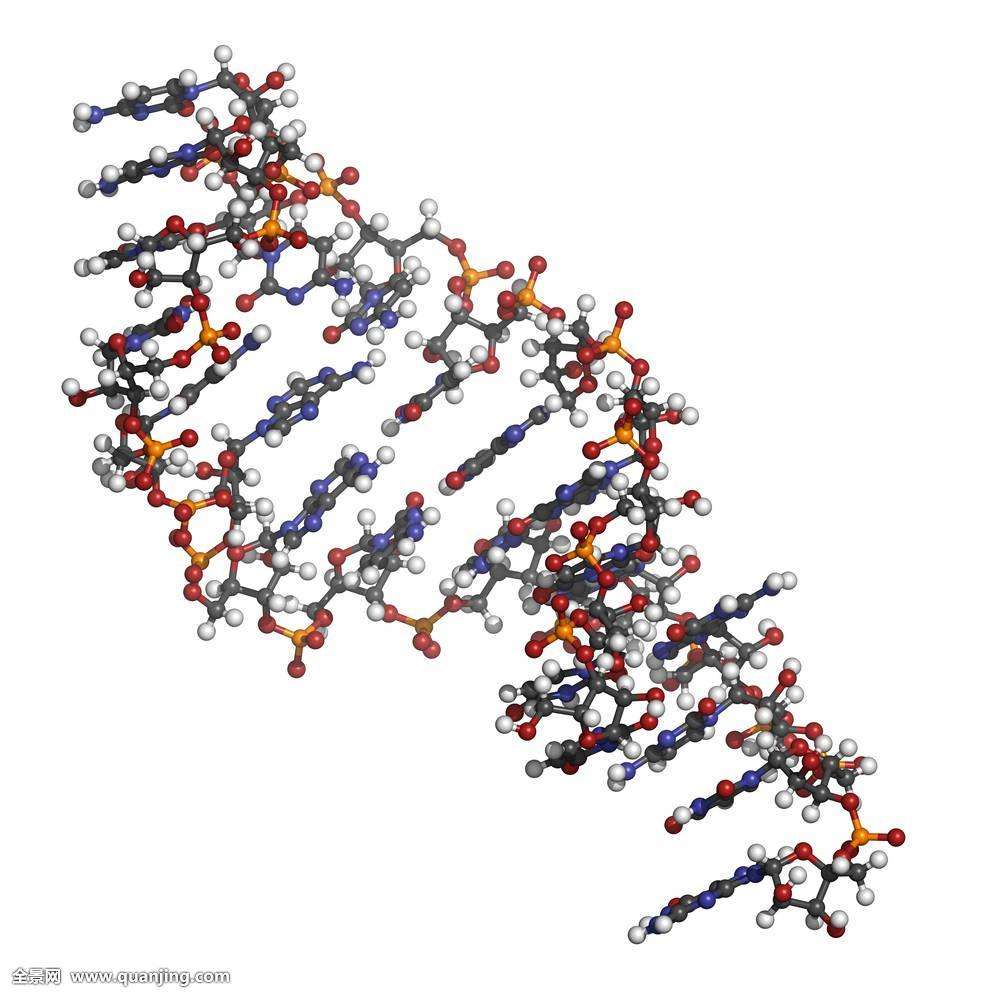 DNA 尿素 -PAGE 上样液1.5mL规格