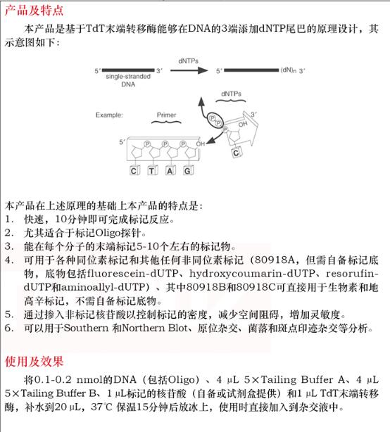 TdT 加尾法 DNA 标记试剂盒5次品牌