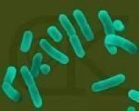 亲和素链霉菌说明书