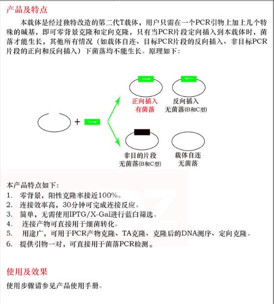 克必隆零背景 T 载体20 次品牌