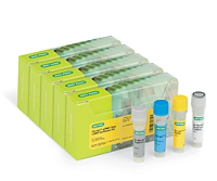 iScript gDNA Clear cDNA Synthesis Kit, 100 x 20 µl reactions 1725035