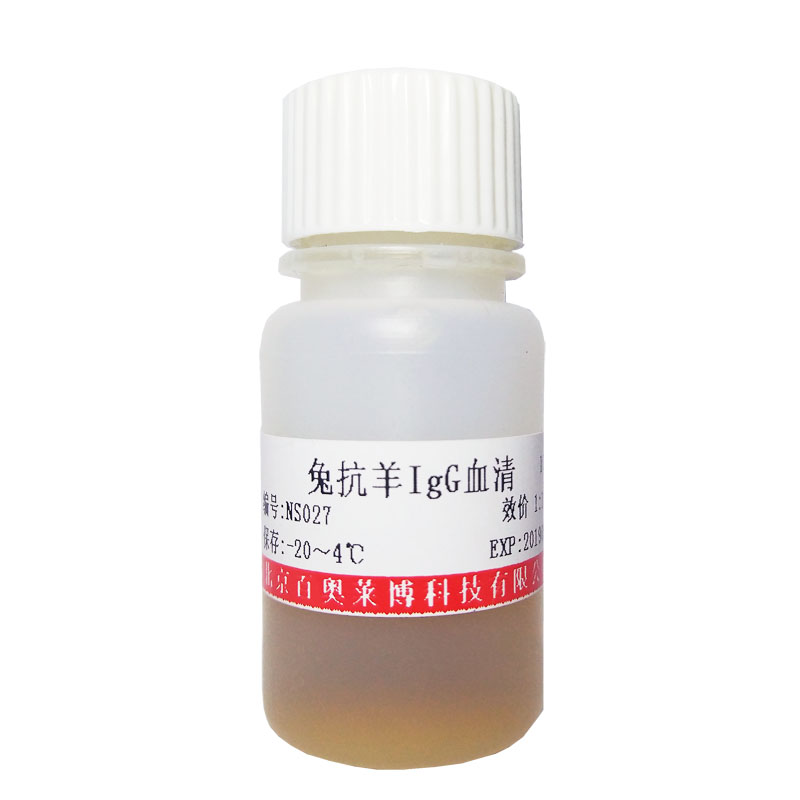 兔抗豚鼠IgG免疫血清