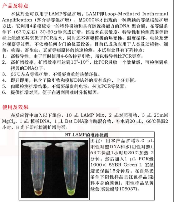 通用型 LAMP 试剂盒50 次品牌