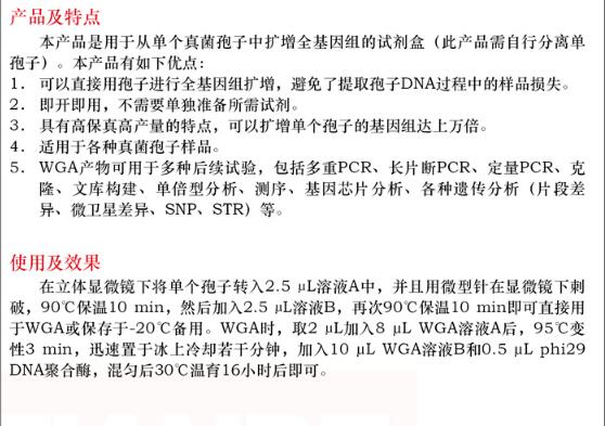 单孢子全基因组扩增试剂盒30 次规格