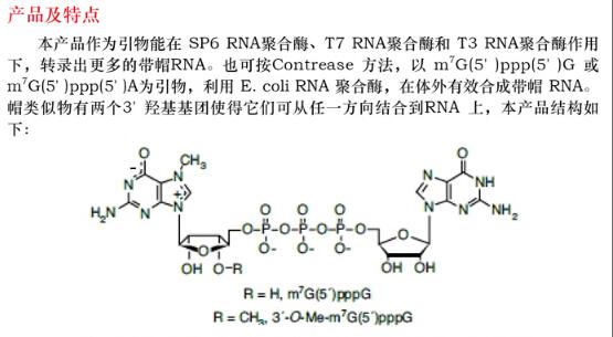 G(5´)ppp(5´)G 帽结构类似物25 OD品牌