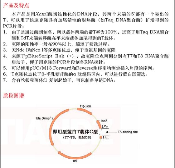 即用型蓝白 T 载体 C 型 (T7-T3，无 MCS)20