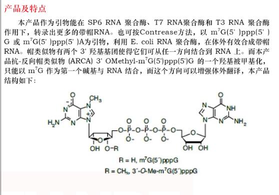 m7G(5´)ppp(5´)G 帽结构类似物25 OD价格