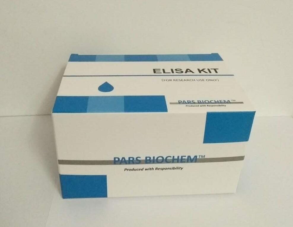 猪瘟抗体检测试剂盒(阻断ELISA)